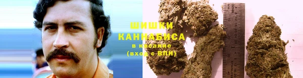 дживик Богданович