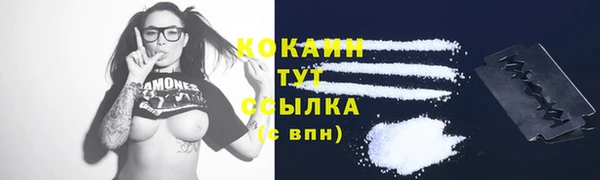 кокс Богородицк