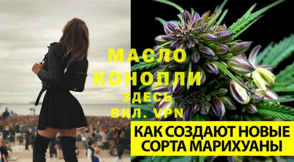 apvp Богородск