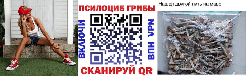 закладки  Кола  Галлюциногенные грибы MAGIC MUSHROOMS 